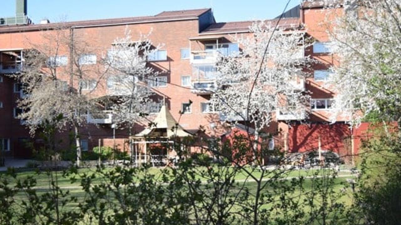 Bostadsrätt med grönska