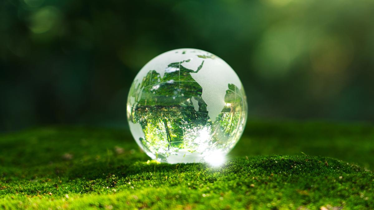 glass globe in nature