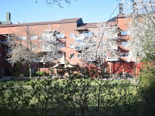 Bostadsrätt med grönska